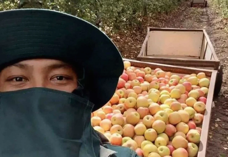 Warga Thailand yang Meninggal di Israel Dipulangkan Pekan Depan